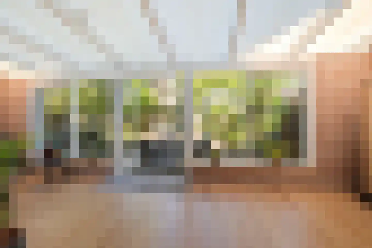 Wierbalg 1314 Julianadorp thumbnail 21