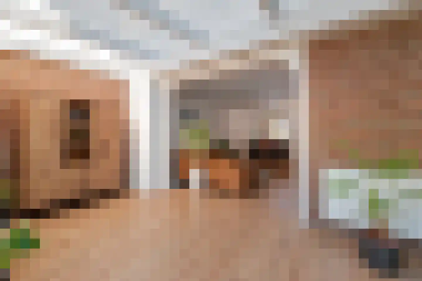 Wierbalg 1314 Julianadorp thumbnail 24