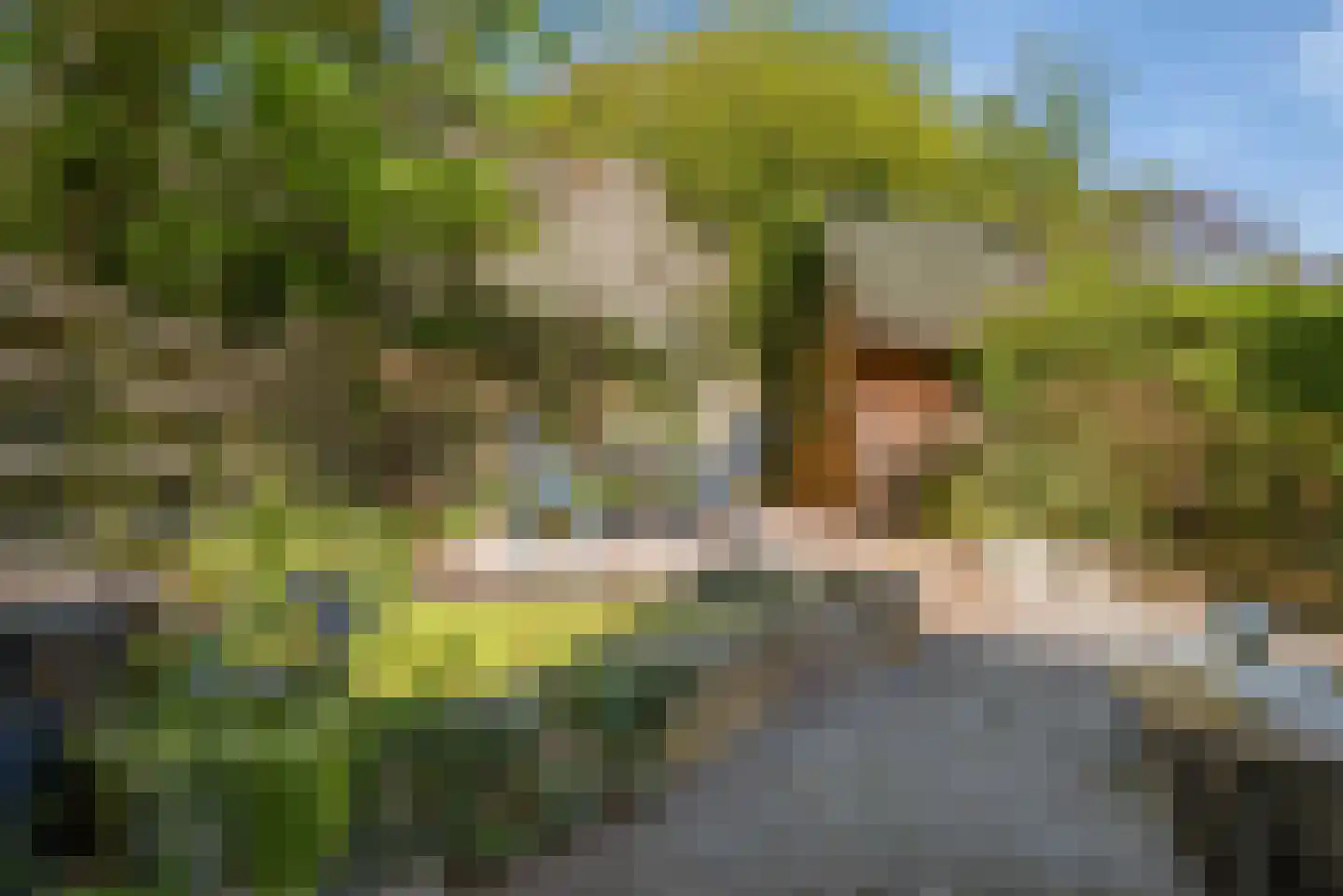 Wierbalg 1314 Julianadorp thumbnail 29