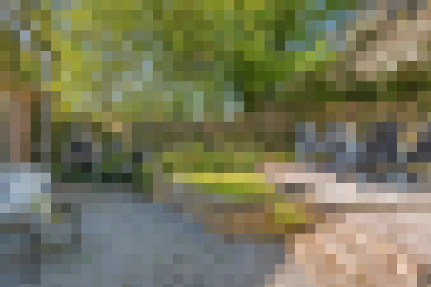 Wierbalg 1314 Julianadorp thumbnail 30