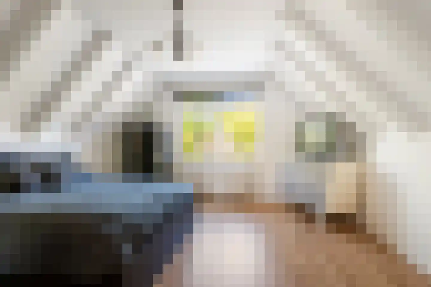 Wierbalg 1314 Julianadorp thumbnail 44