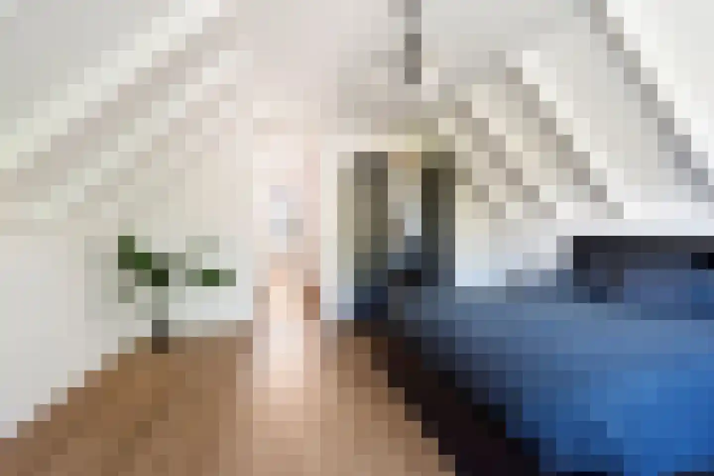 Wierbalg 1314 Julianadorp thumbnail 46