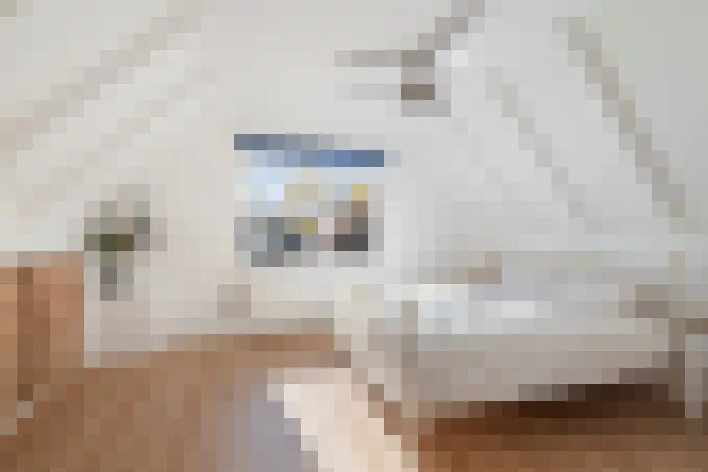 Wierbalg 1314 Julianadorp thumbnail 47