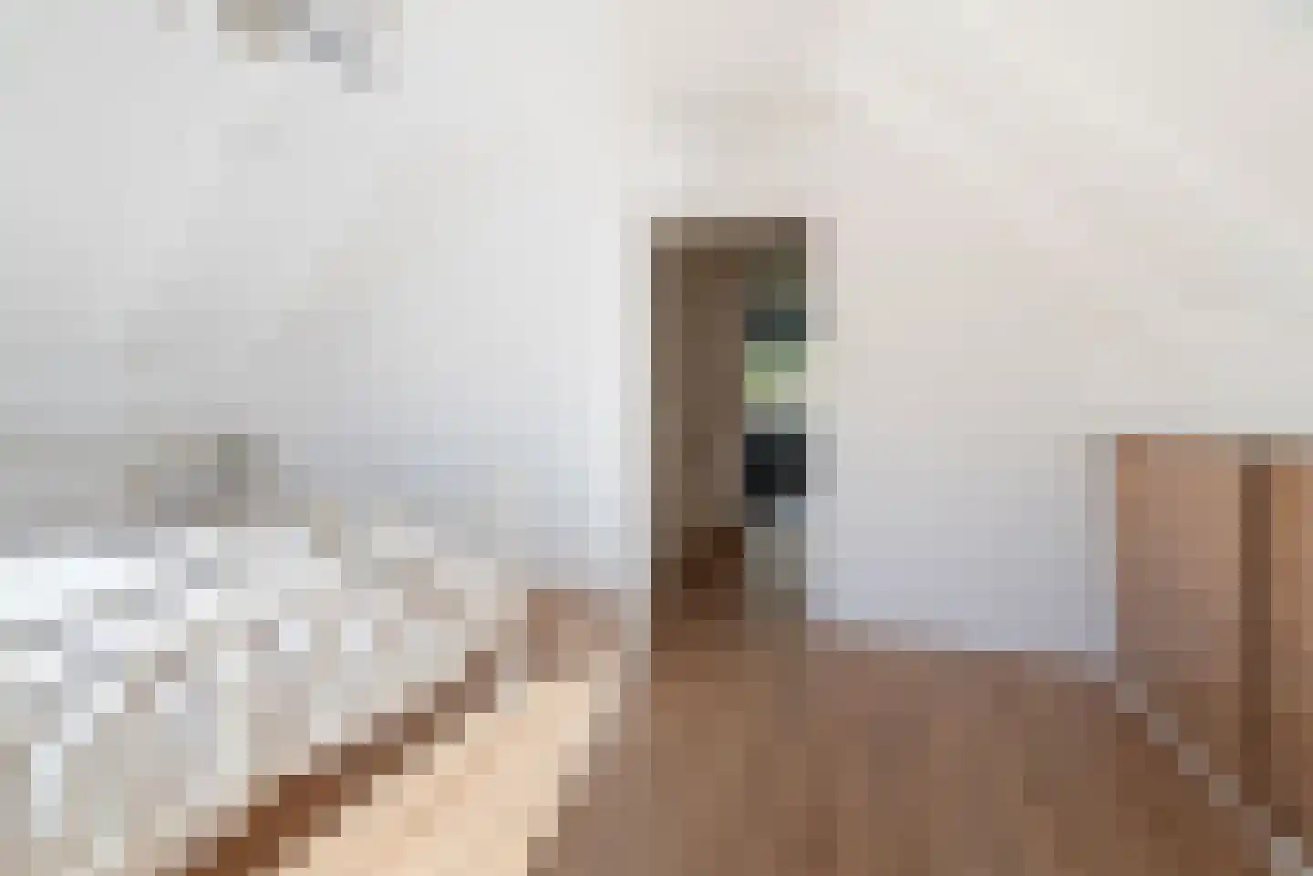 Wierbalg 1314 Julianadorp thumbnail 49