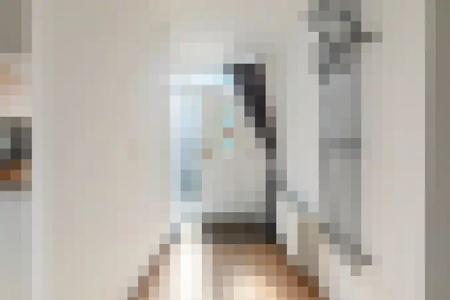 Wierbalg 1314 Julianadorp thumbnail 7