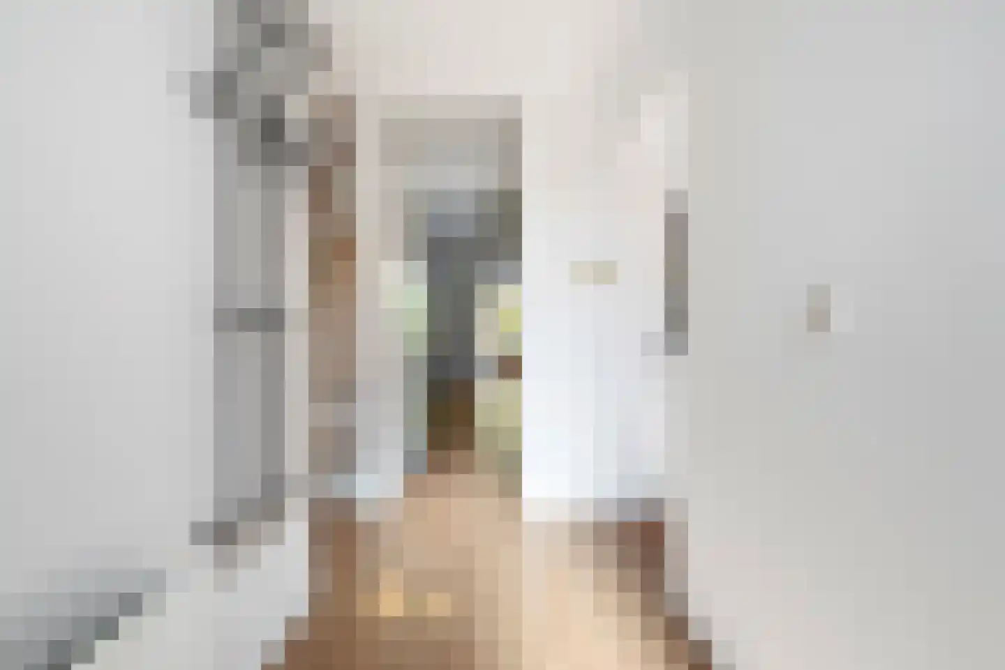 Wierbalg 1314 Julianadorp thumbnail 8