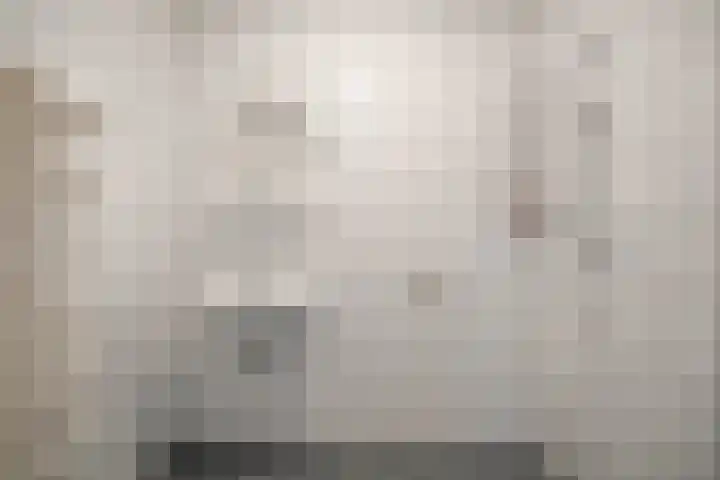 Wierbalg 1316 Julianadorp thumbnail 15