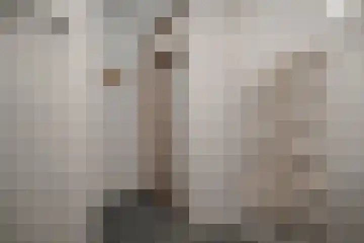 Wierbalg 1316 Julianadorp thumbnail 16