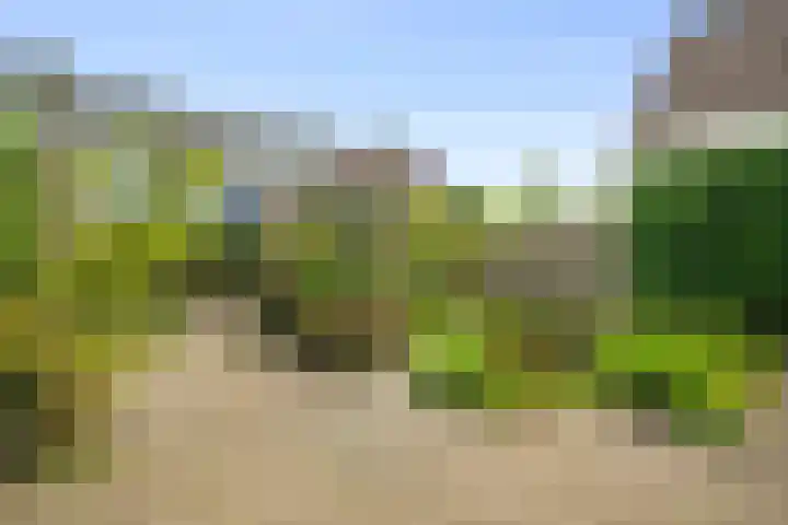 Wierbalg 1316 Julianadorp thumbnail 17