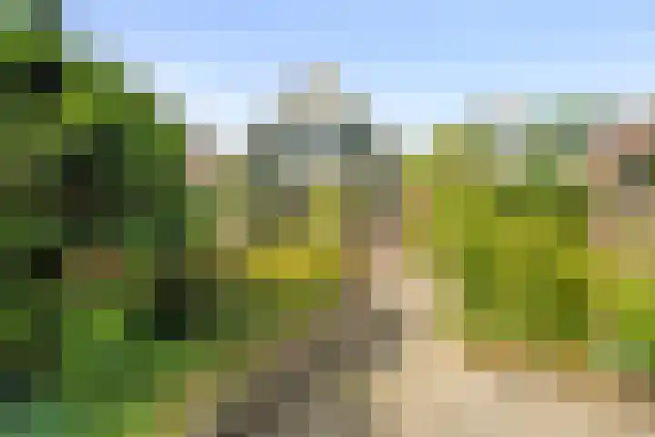 Wierbalg 1316 Julianadorp thumbnail 18
