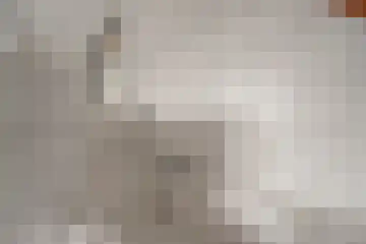 Wierbalg 1316 Julianadorp thumbnail 21