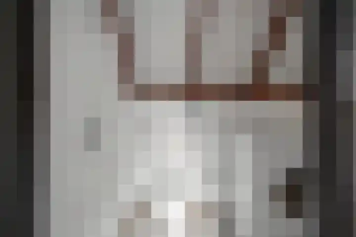 Wierbalg 1316 Julianadorp thumbnail 22