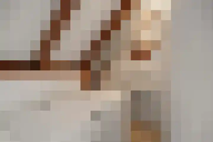 Wierbalg 1316 Julianadorp thumbnail 23
