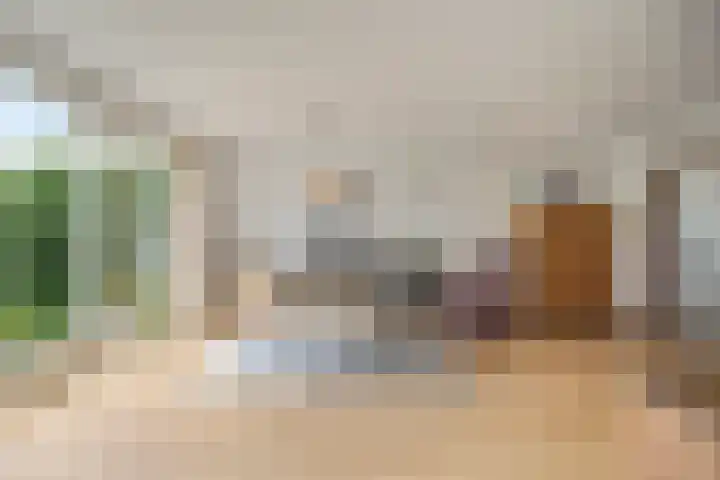 Wierbalg 1316 Julianadorp thumbnail 5
