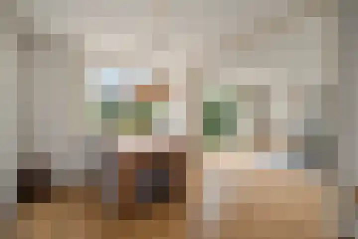 Wierbalg 1316 Julianadorp thumbnail 7