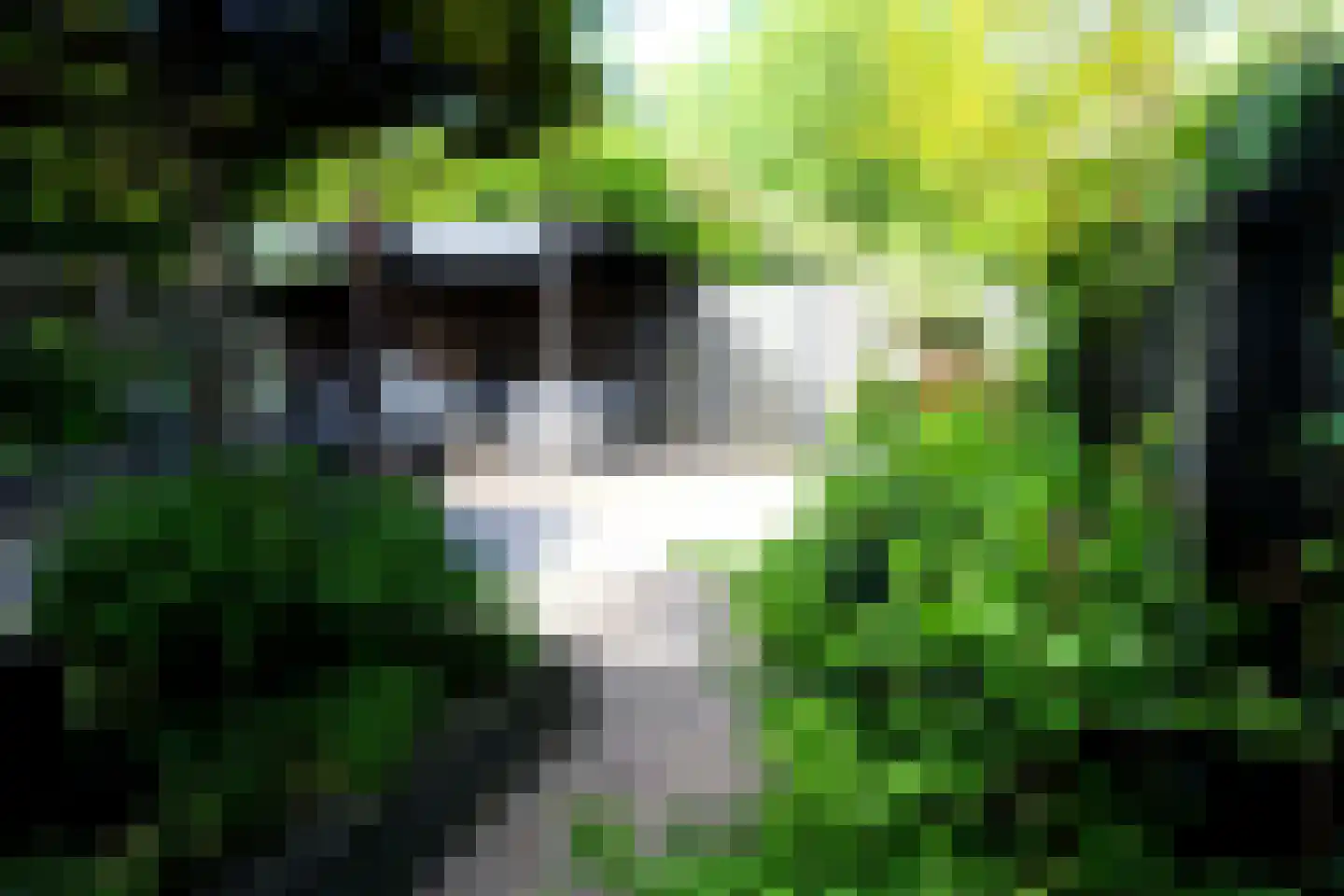 Wierbalg 1406 Julianadorp thumbnail 29