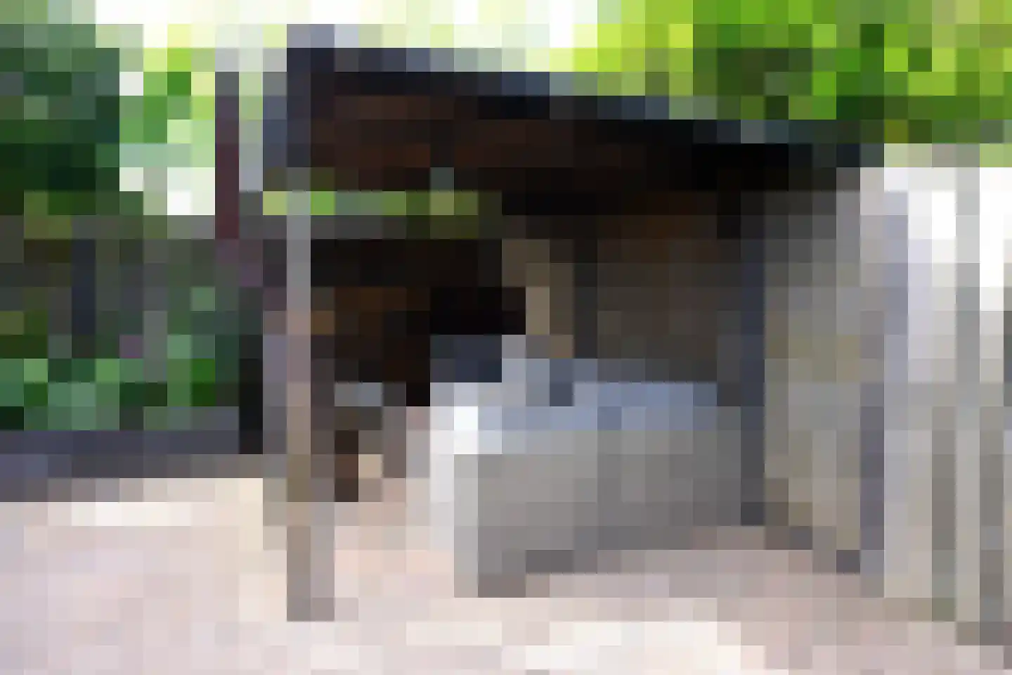Wierbalg 1406 Julianadorp thumbnail 31
