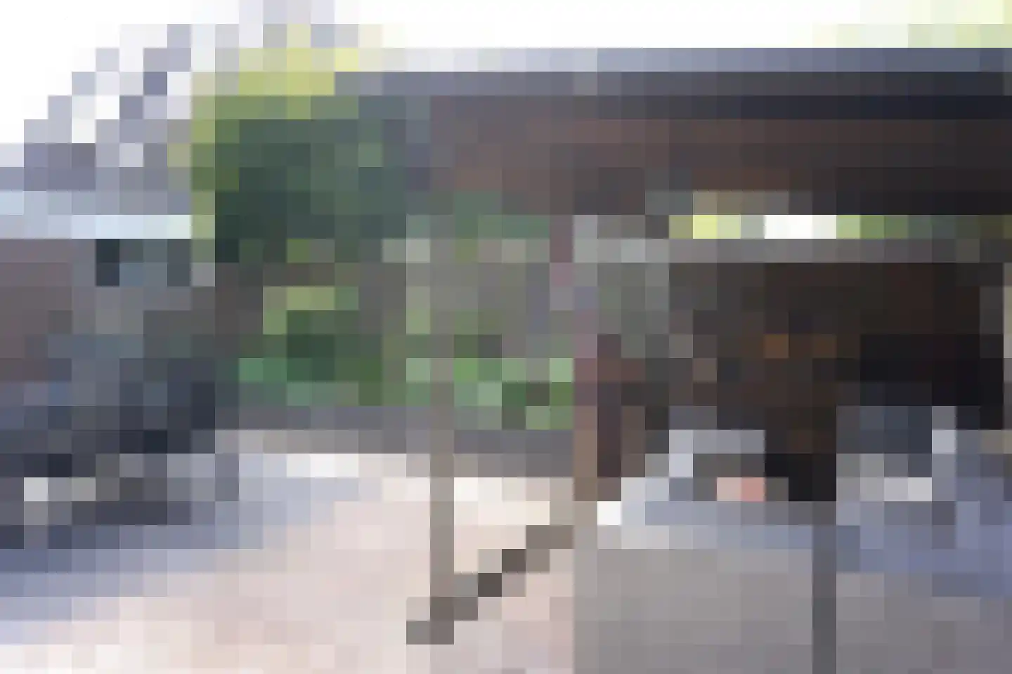Wierbalg 1406 Julianadorp thumbnail 33
