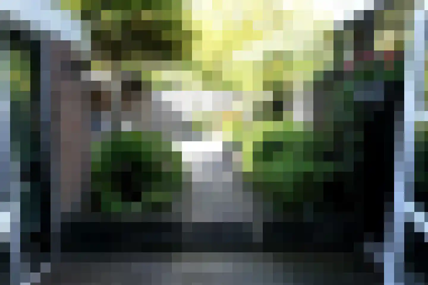 Wierbalg 1406 Julianadorp thumbnail 36