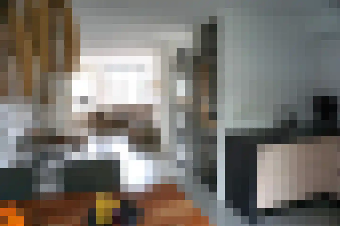 Wierbalg 1406 Julianadorp thumbnail 4