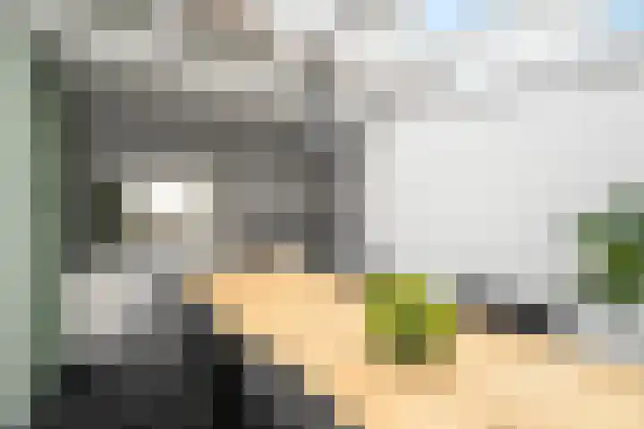 Wierbalg 1414 A Julianadorp thumbnail 10