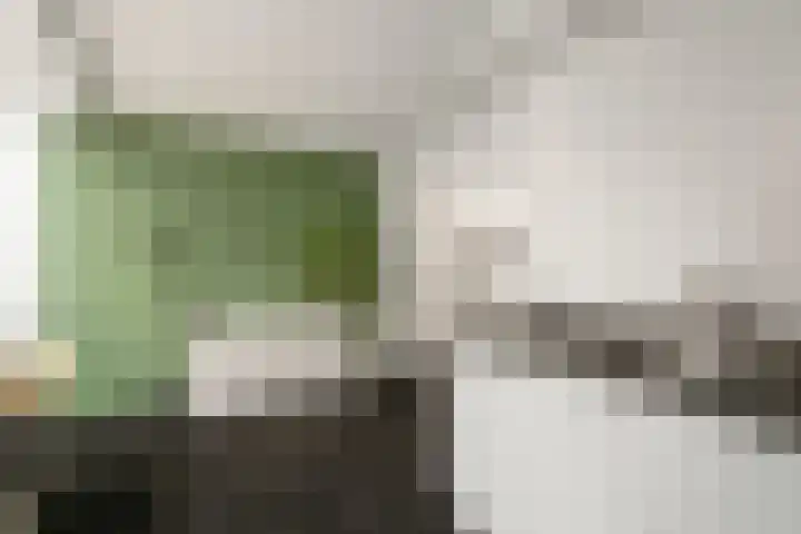 Wierbalg 1414 A Julianadorp thumbnail 13