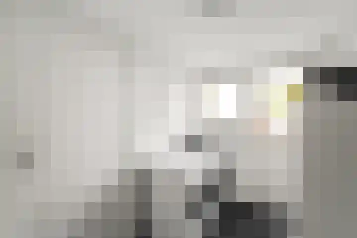 Wierbalg 1414 A Julianadorp thumbnail 14