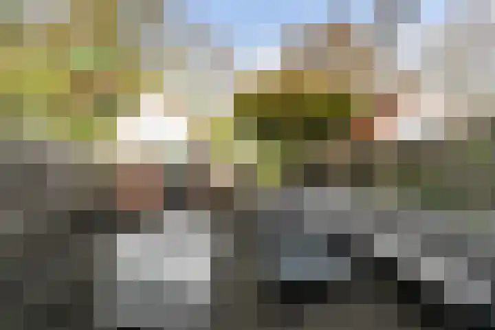 Wierbalg 1414 A Julianadorp thumbnail 16