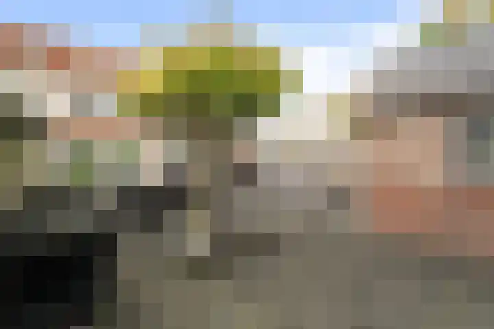 Wierbalg 1414 A Julianadorp thumbnail 17