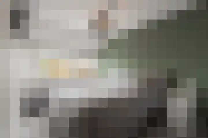 Wierbalg 1414 A Julianadorp thumbnail 20