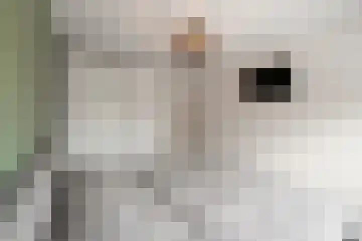 Wierbalg 1414 A Julianadorp thumbnail 21