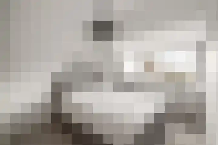 Wierbalg 1414 A Julianadorp thumbnail 22