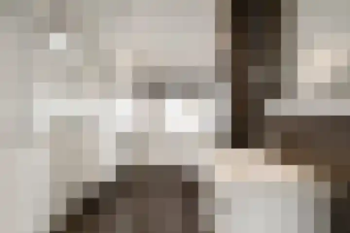 Wierbalg 1414 A Julianadorp thumbnail 23