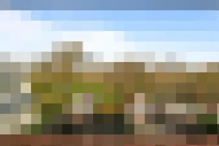 Wierbalg 1414 A Julianadorp thumbnail 31
