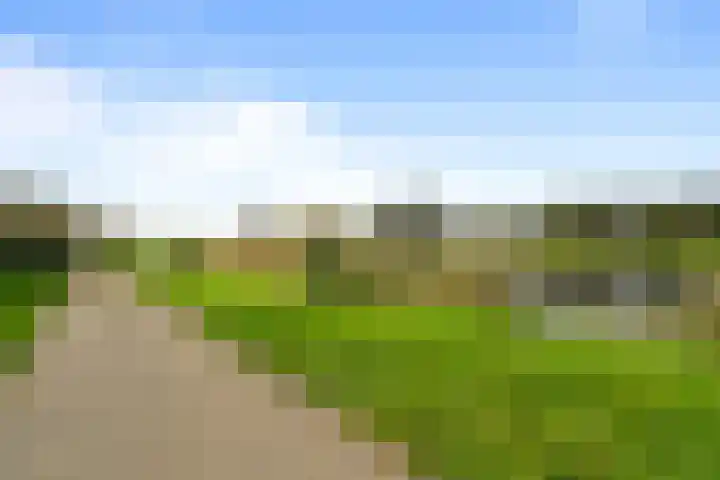 Wierbalg 1414 A Julianadorp thumbnail 33