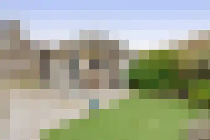 Wierbalg 1506 Julianadorp thumbnail 15