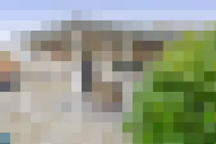 Wierbalg 1506 Julianadorp thumbnail 16