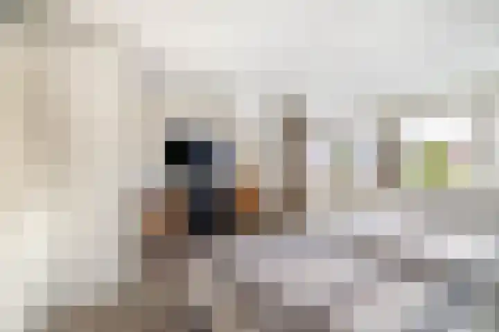 Wierbalg 1506 Julianadorp thumbnail 19
