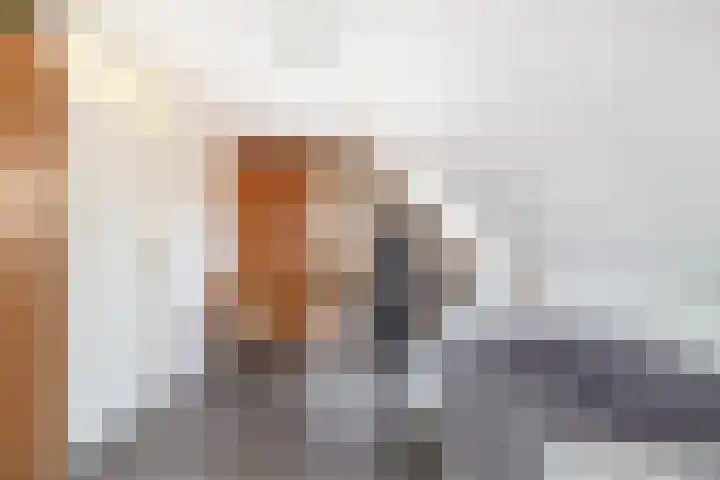 Wierbalg 1506 Julianadorp thumbnail 24