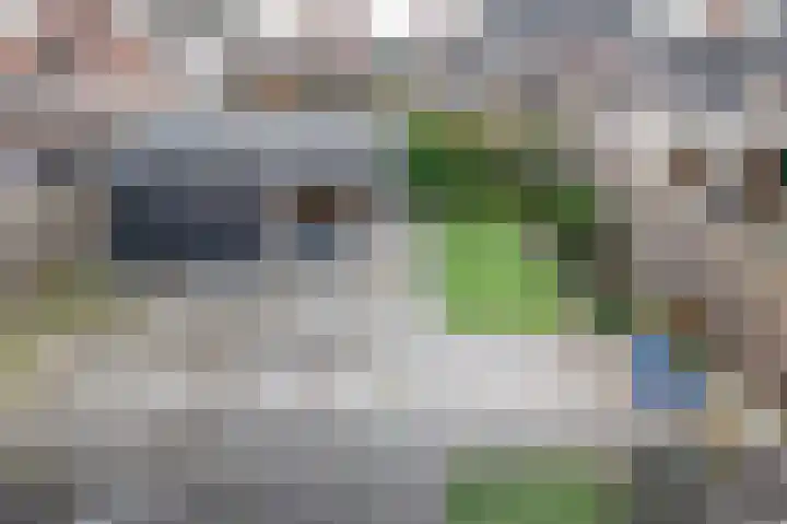 Wierbalg 1506 Julianadorp thumbnail 25