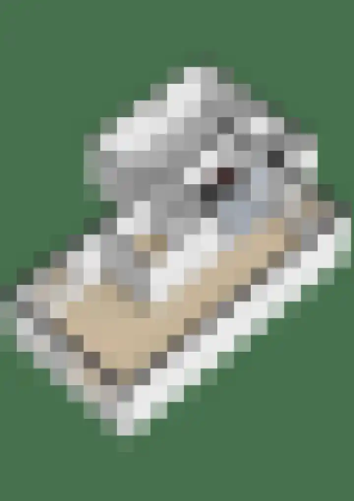 Wierbalg 1506 Julianadorp thumbnail 32