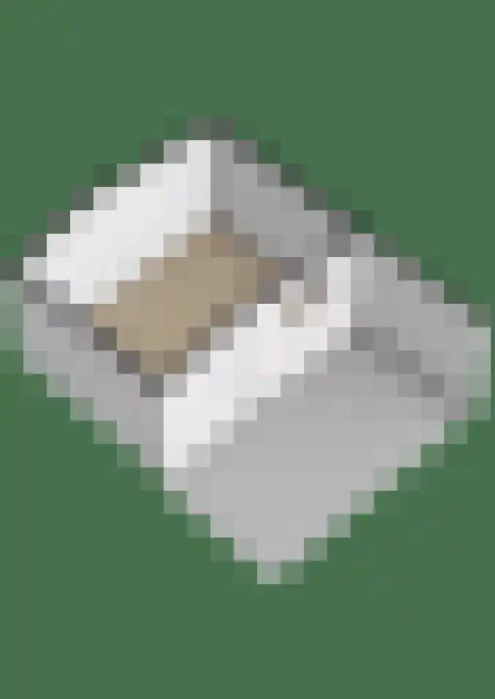 Wierbalg 1506 Julianadorp thumbnail 38
