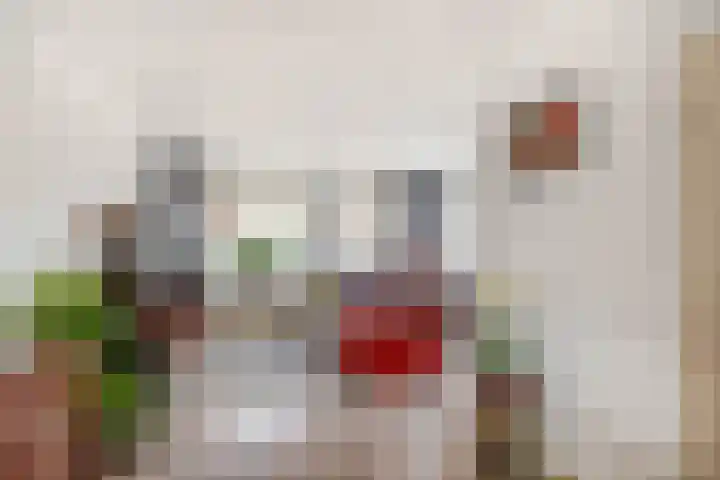 Wierbalg 1506 Julianadorp thumbnail 4