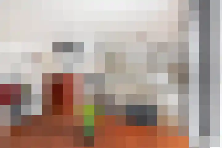 Wierbalg 1506 Julianadorp thumbnail 8