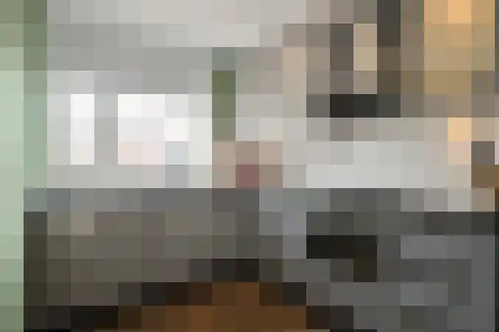 Wierbalg 1721 Julianadorp thumbnail 13