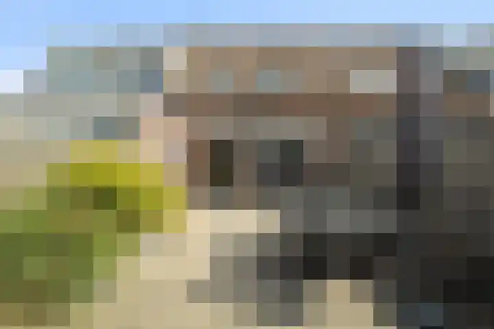 Wierbalg 1721 Julianadorp thumbnail 16
