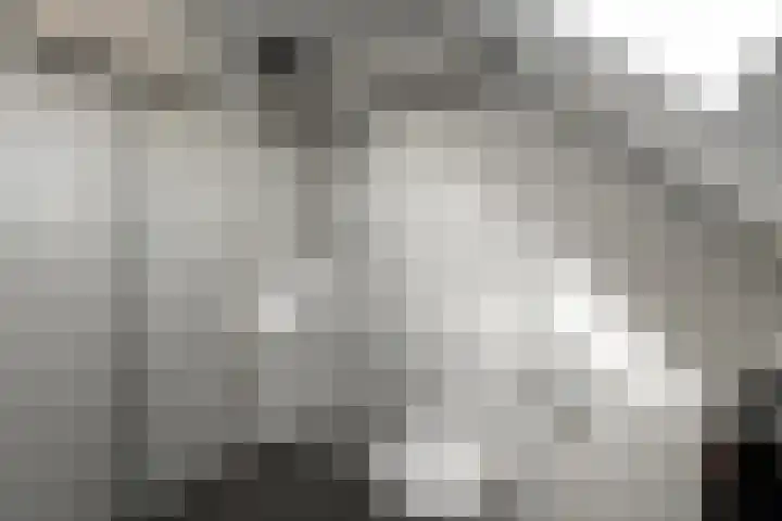 Wierbalg 1721 Julianadorp thumbnail 22
