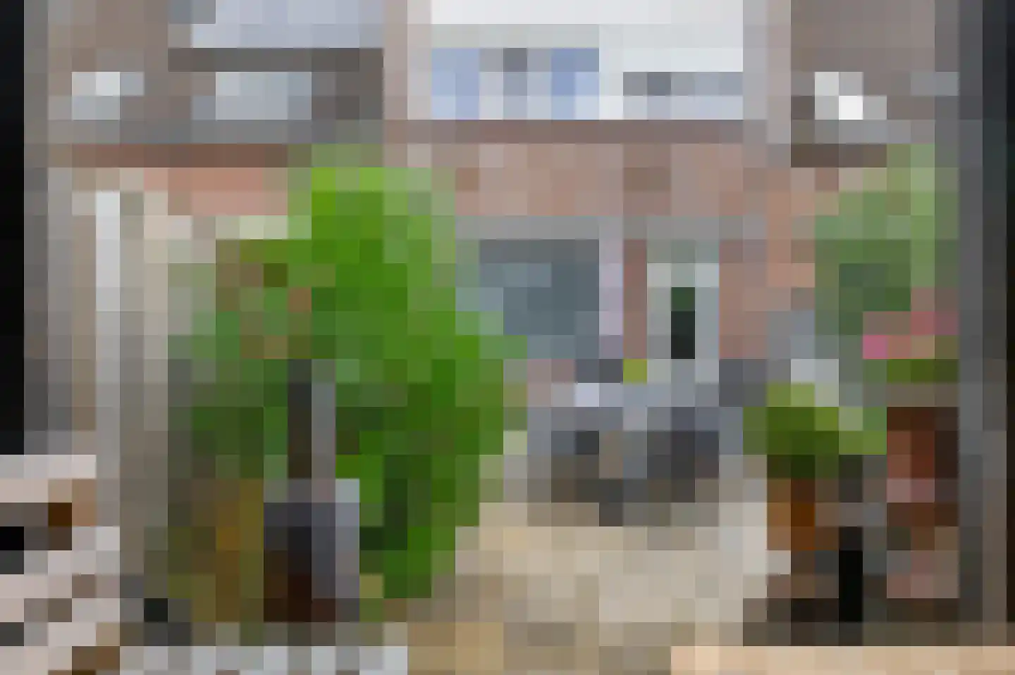 Wierbalg 1738 Julianadorp thumbnail 13