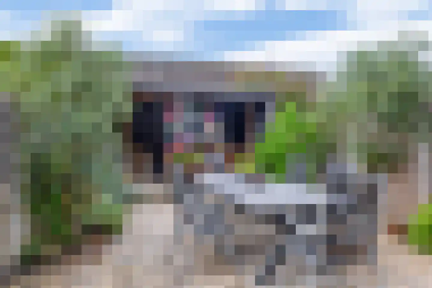 Wierbalg 1738 Julianadorp thumbnail 14