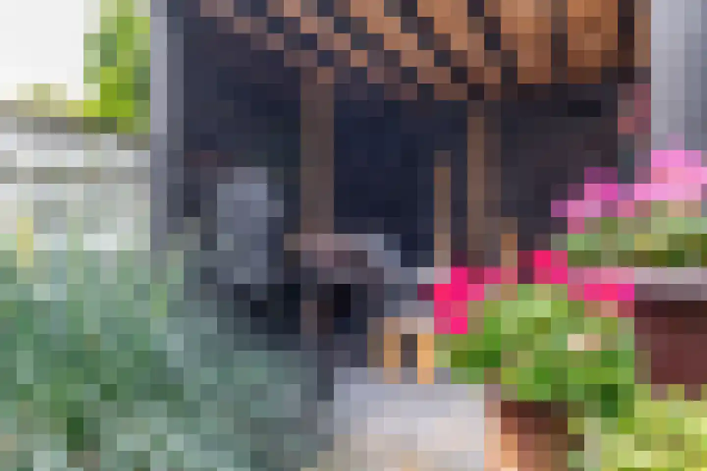 Wierbalg 1738 Julianadorp thumbnail 16